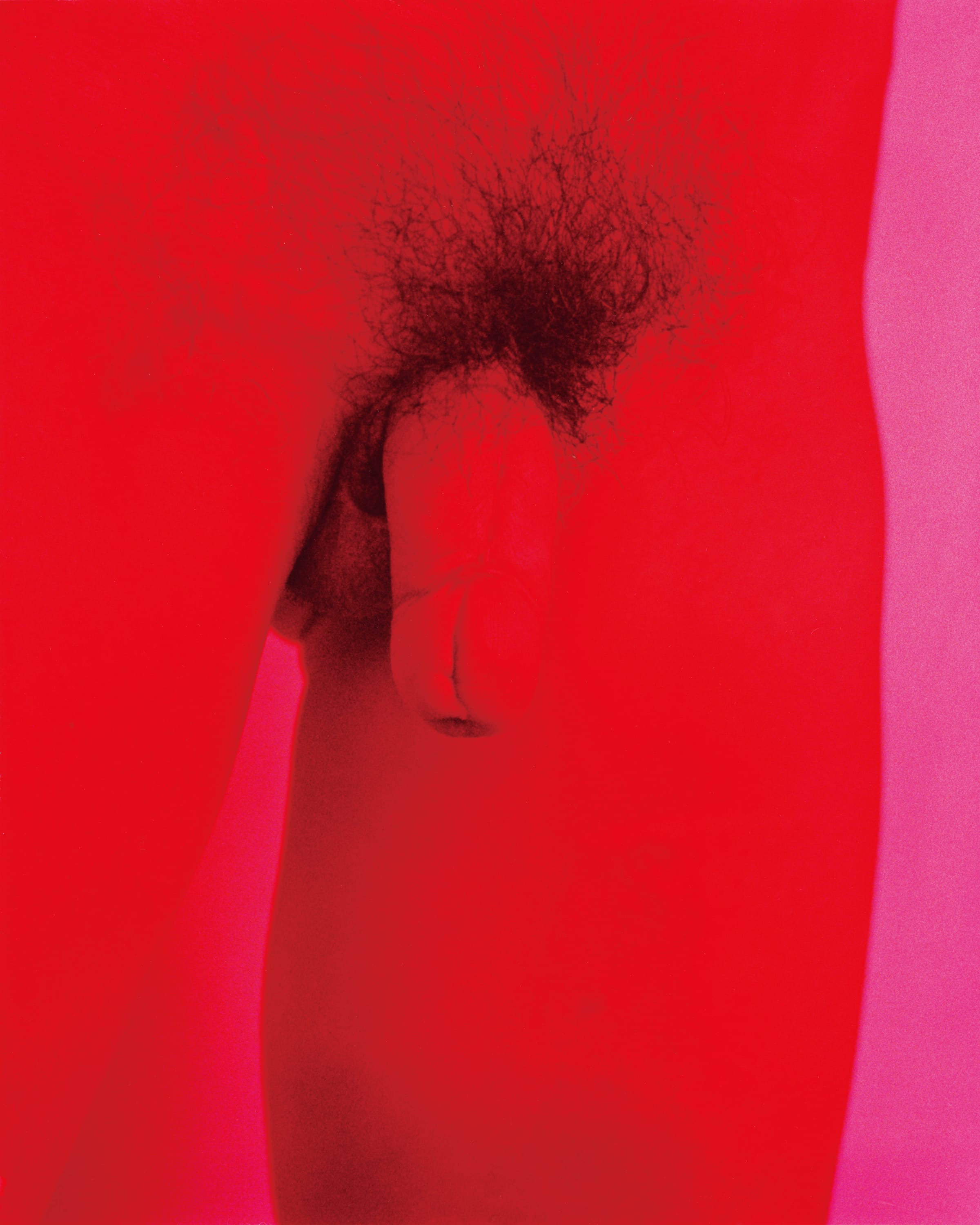 Untitled from the series Bible, 2008-2014 © Momo Okabe, courtesy of the Foam Collection