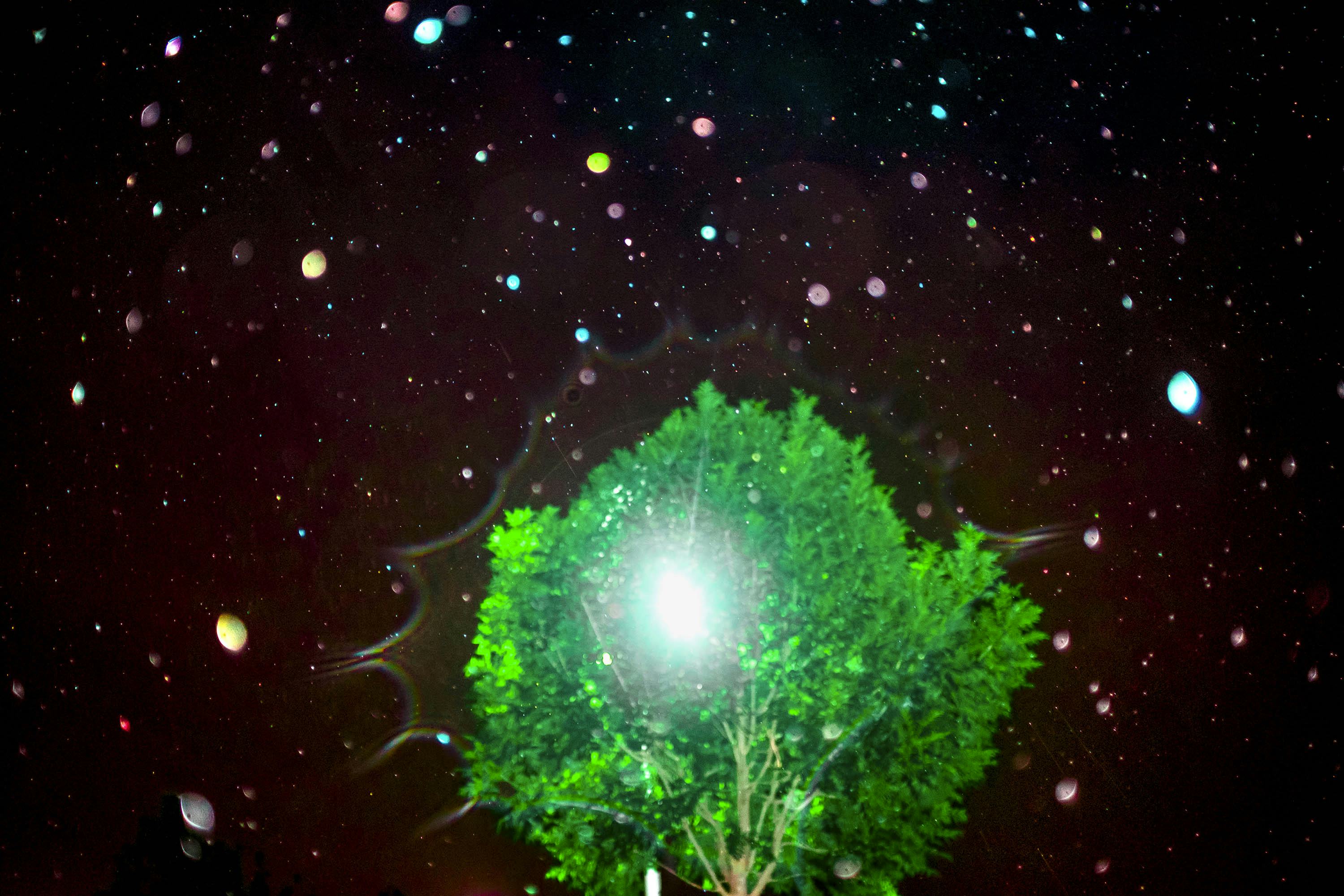 Abstract image of a tree in a night sky, with a bright flash © Oğulcan Arslan