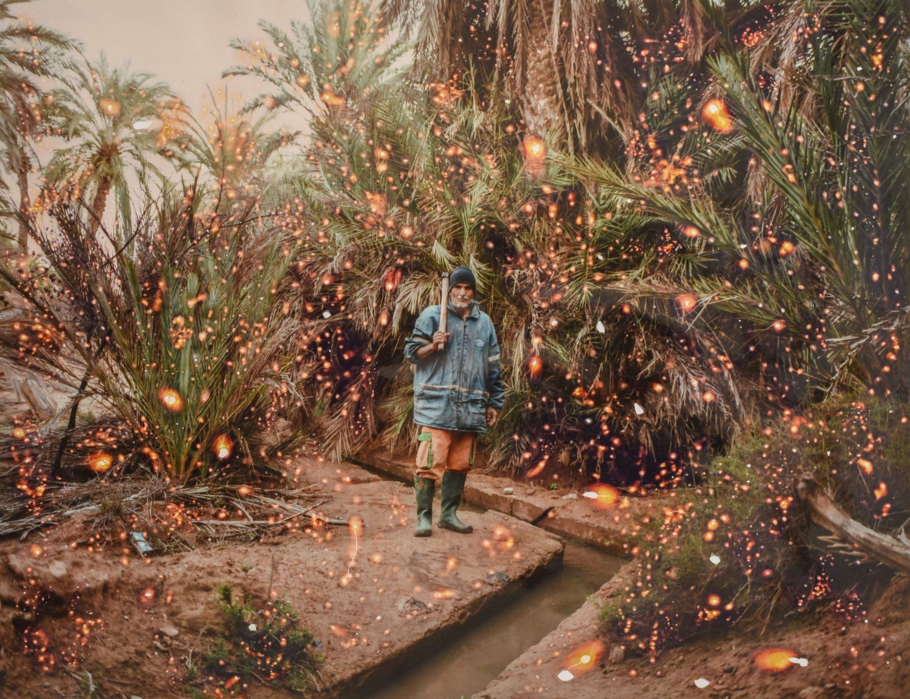 Portrait of a man standing at an oasis in Morocco, surrounded with palm trees. The photo appears to be damaged by fire sparks.