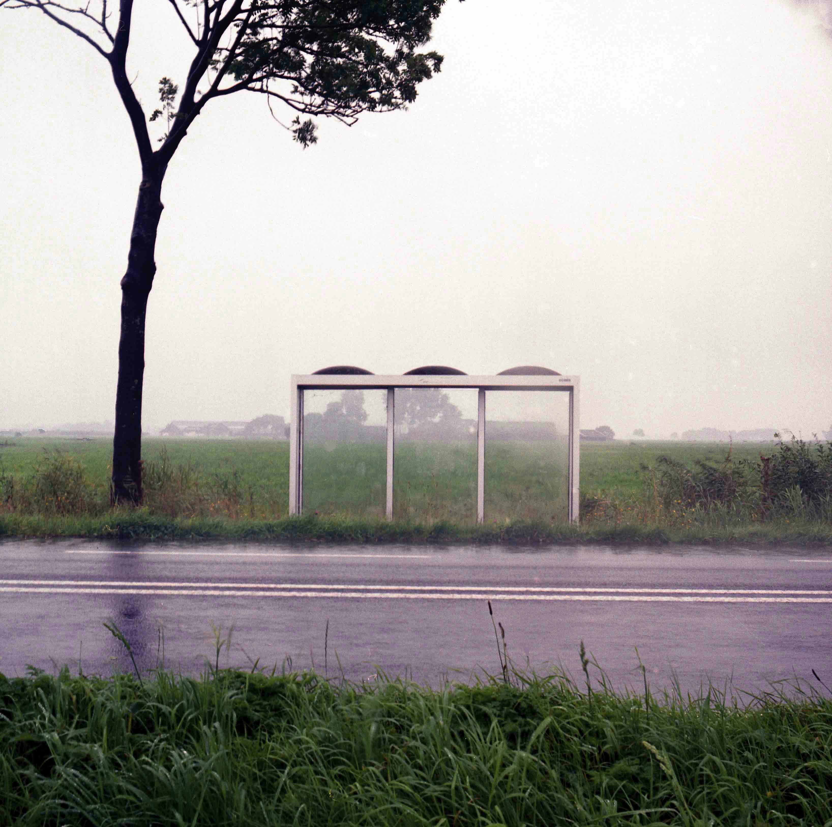 Picture of a busstop in Dutch landscape. © MAryam Touzani