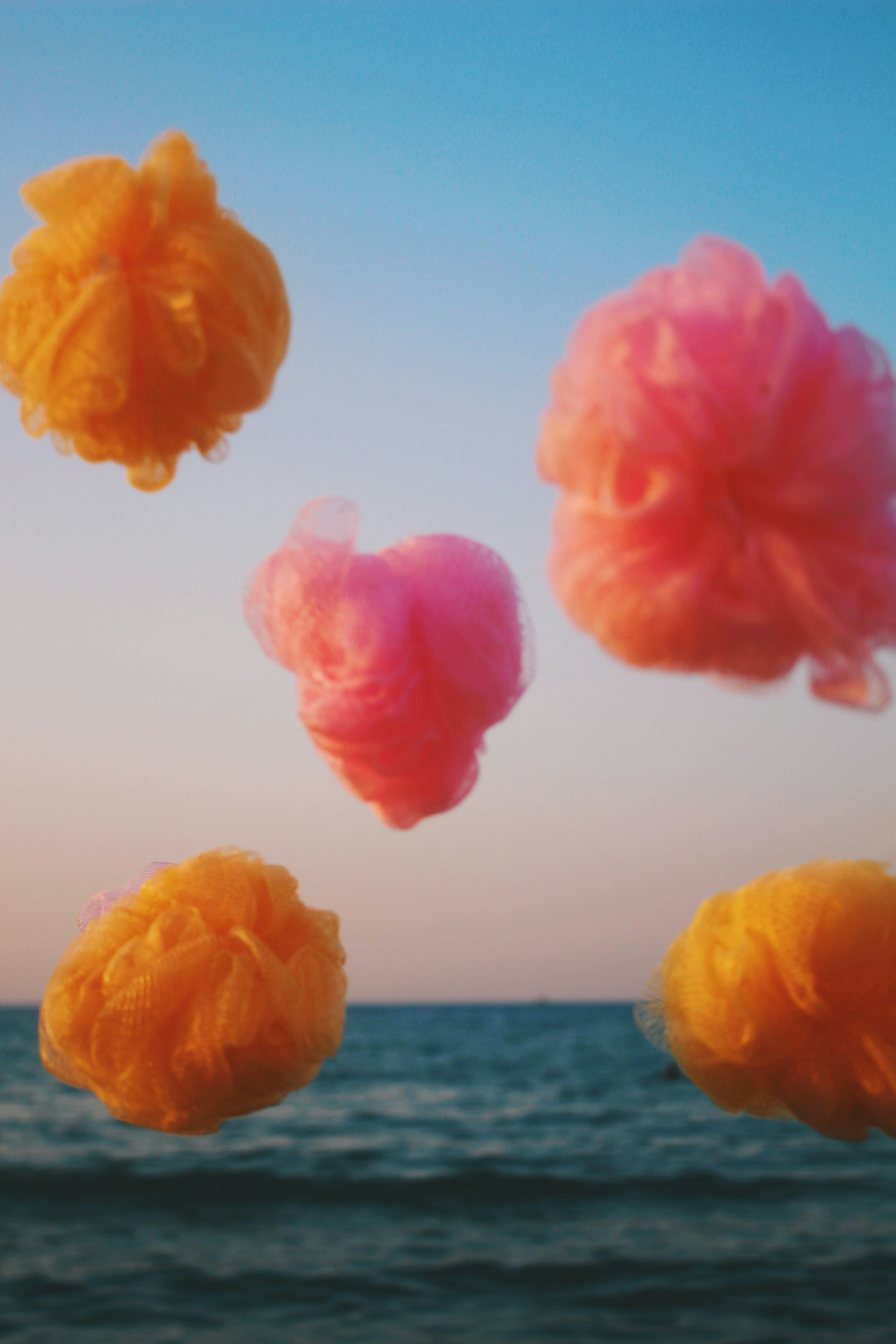 Five orange loofah sponges thrown up in the air in front of the sea. © Alp Peker
