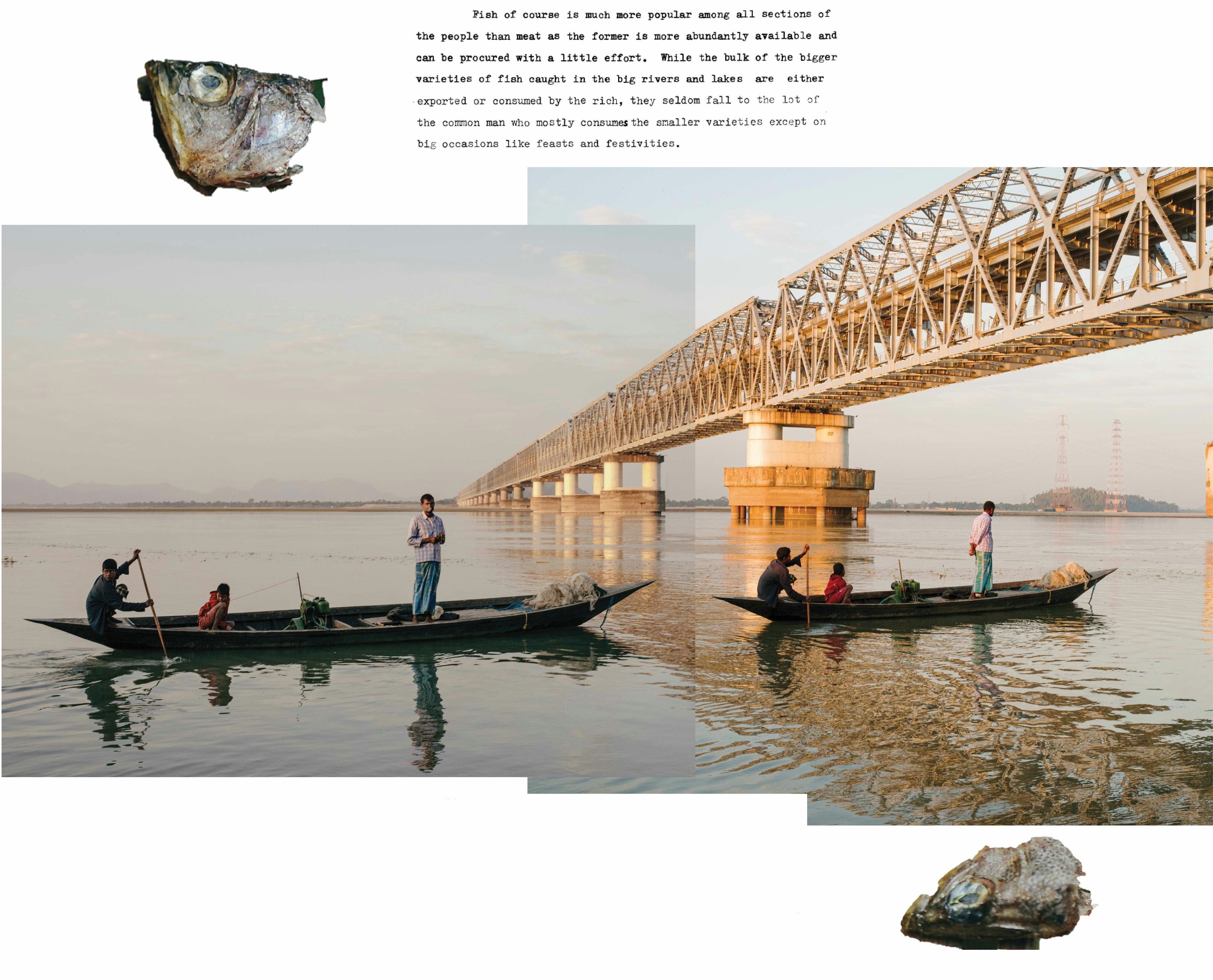 Collage of images showing a river with two boats and a large bridge, text and fish heads. © Akshay Mahajan