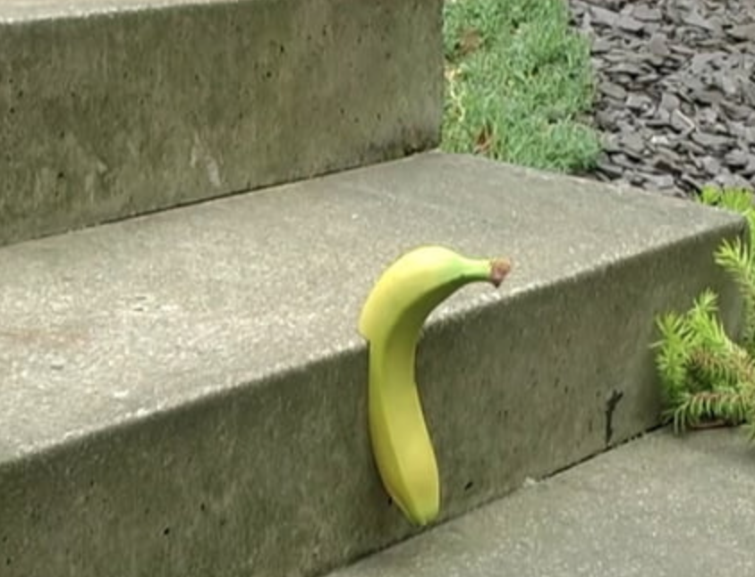 Picture of a banana stuck into a concrete step.