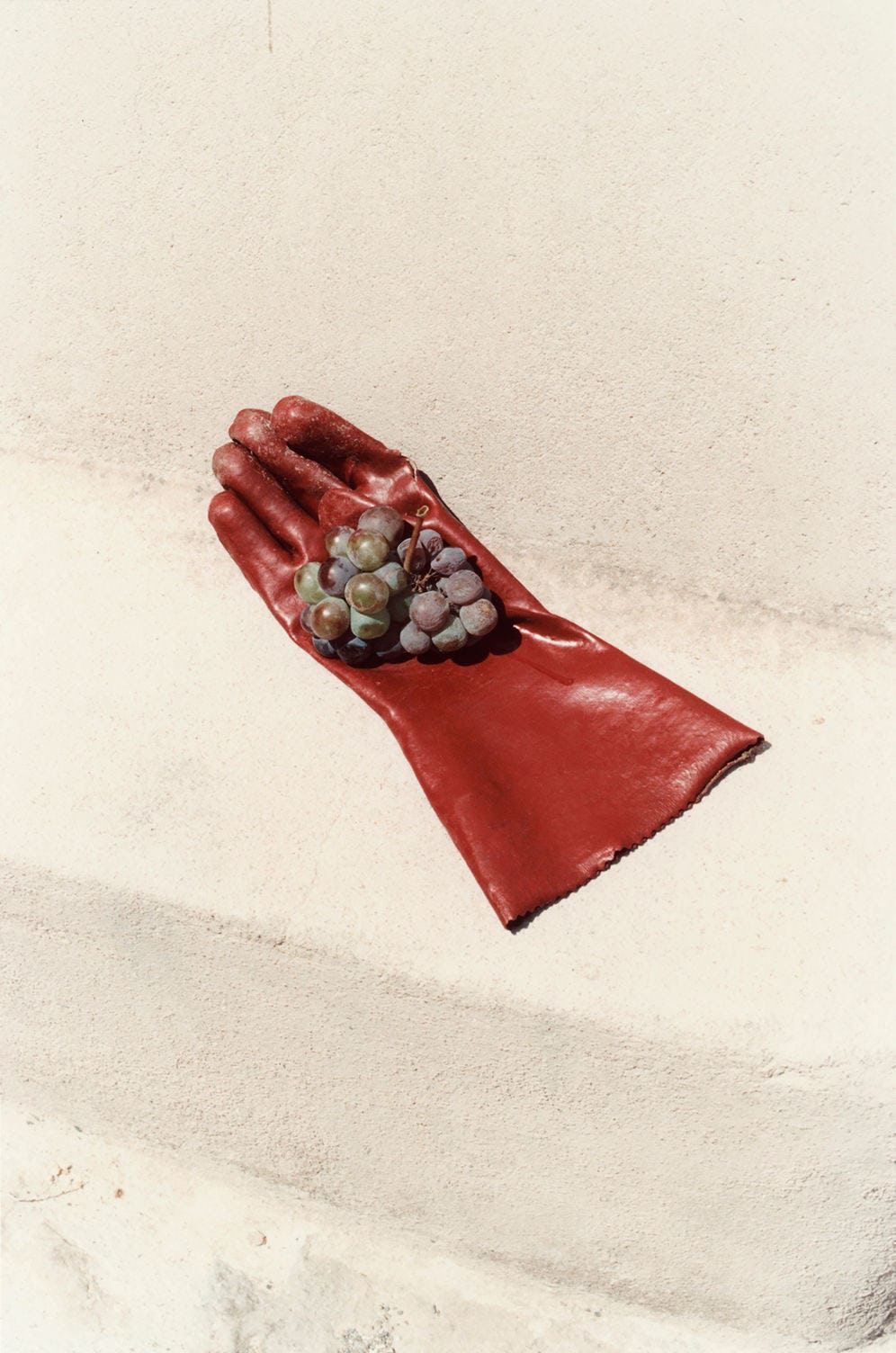 red glove with grapes