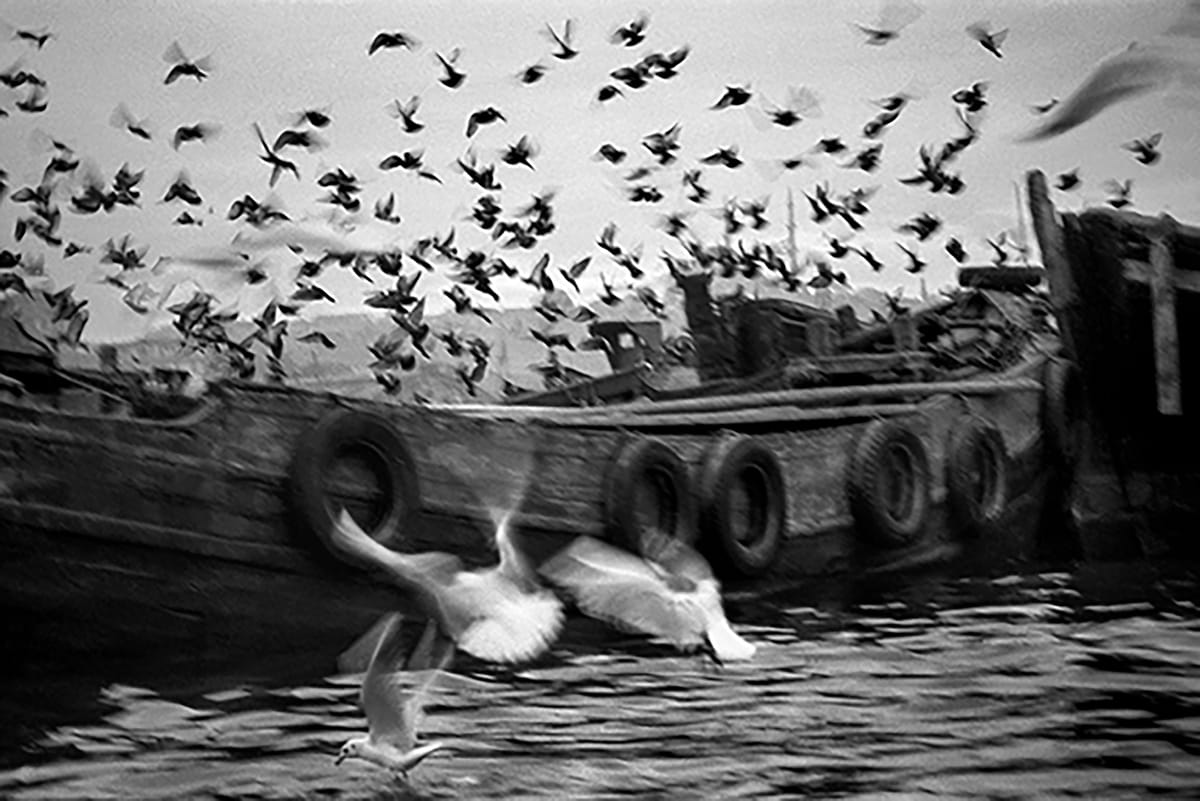 Aref Gull Ara Güler - Artist | Foam: all about photography